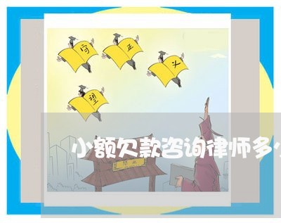 小额欠款咨询律师多少钱/2023060168471