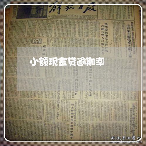 小额现金贷逾期率