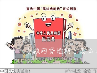 小额网贷逾期了怎么办信用卡/2023060450460