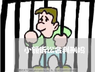 小额诉讼会判刑吗