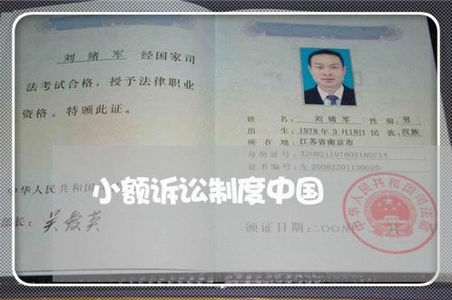 小额诉讼制度中国 小额诉讼制度中国