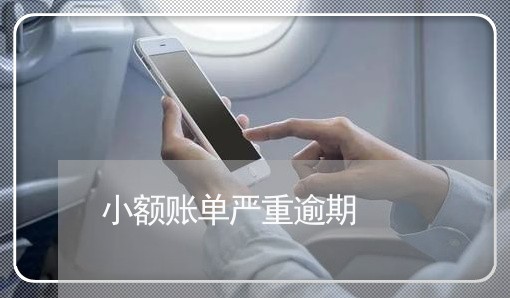 小额账单严重逾期