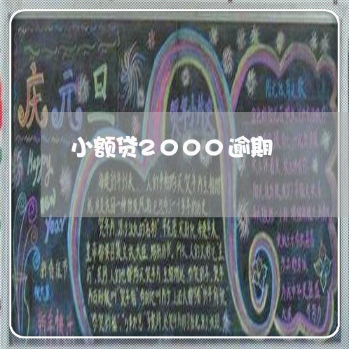 小额贷2000逾期 小额贷2000逾期