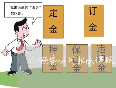 小额贷公司招法律顾问