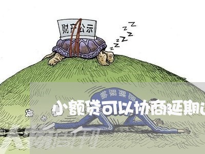 小额贷可以协商延期还款吗/2023020615770