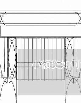 小额贷如何协商停息还款/2023110840573