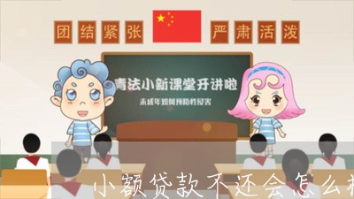 小额贷款不还会怎么样/2023013074847