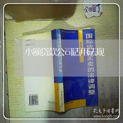 小额贷款公司适用法规 小额贷款公司适用法规