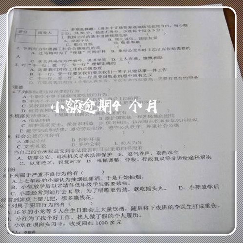 小额逾期4个月