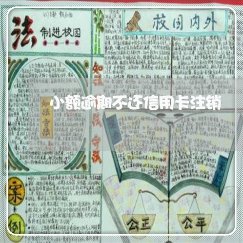 小额逾期不还信用卡注销/2023060919570