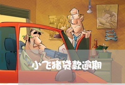 小飞猪贷款逾期 小飞猪贷款逾期