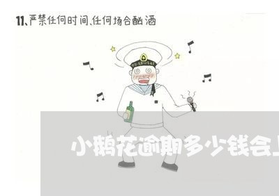 小鹅花逾期多少钱会上门