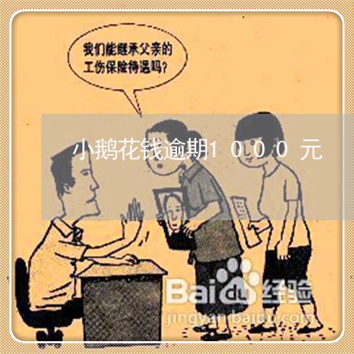 小鹅花钱逾期1000元