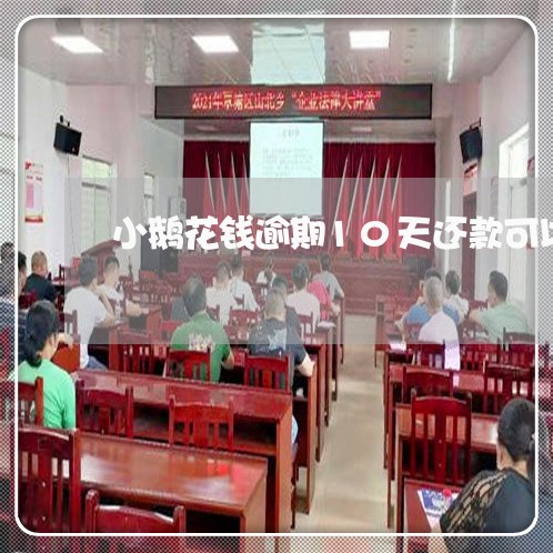 小鹅花钱逾期10天还款可以吗