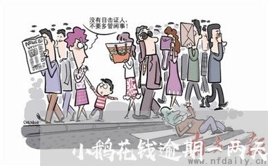 小鹅花钱逾期一两天还能借出来么/2023062945837