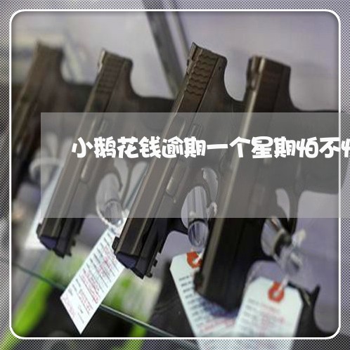 小鹅花钱逾期一个星期怕不怕 小鹅花钱逾期一个星期怕不怕