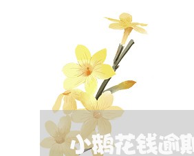 小鹅花钱逾期一天利息八十/2023032662637