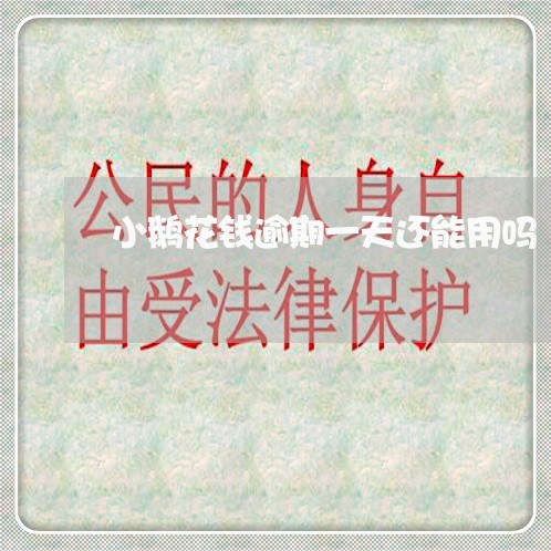 小鹅花钱逾期一天还能用吗/2023061026957