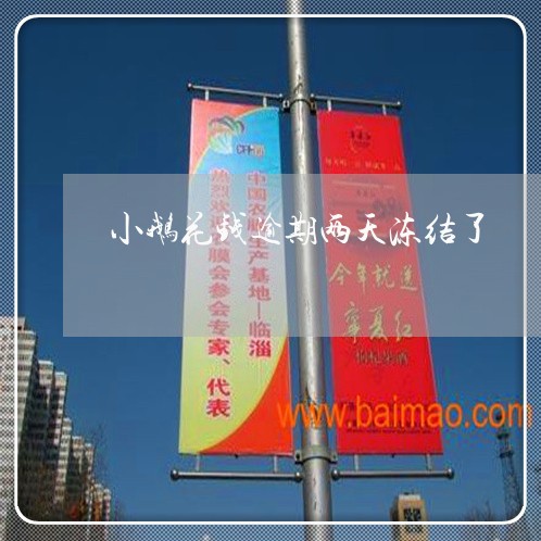 小鹅花钱逾期两天冻结了 小鹅花钱逾期两天冻结了