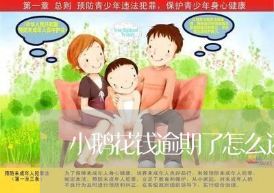 小鹅花钱逾期了怎么还 小鹅花钱逾期了怎么还