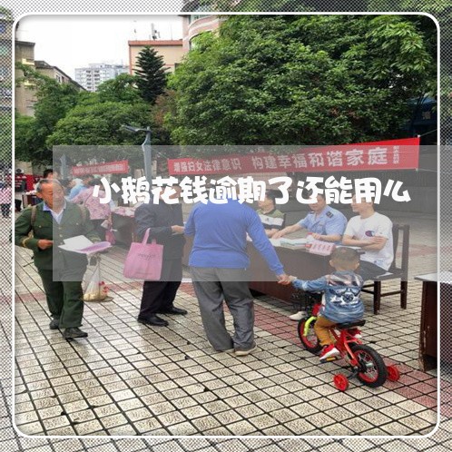 小鹅花钱逾期了还能用么 小鹅花钱逾期了还能用么