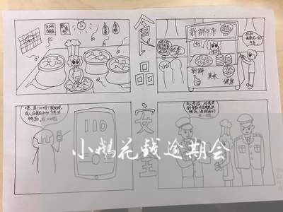 小鹅花钱逾期会/2023071439361