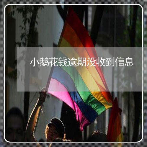 小鹅花钱逾期没收到信息