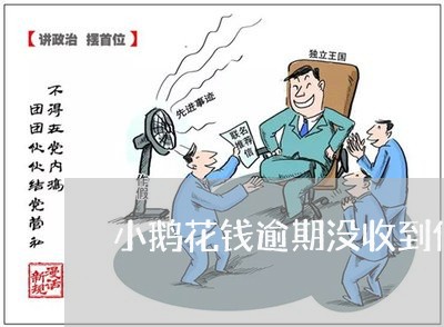 小鹅花钱逾期没收到信息/2023033076259