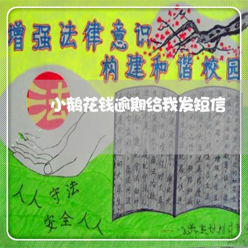 小鹅花钱逾期给我发短信/2023033094847