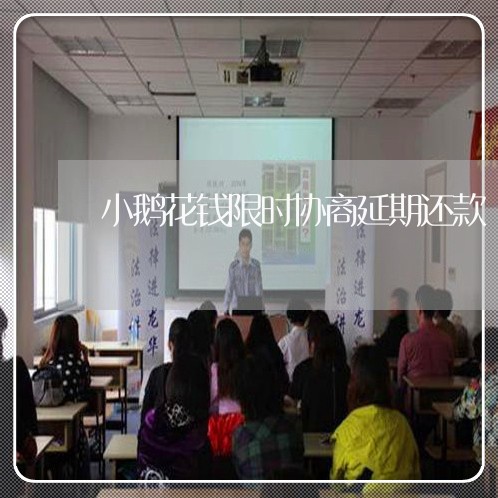 小鹅花钱限时协商延期还款/2023071227939