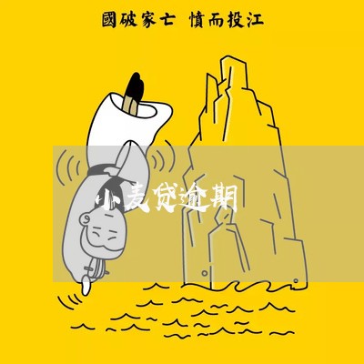 小麦贷逾期 小麦贷逾期