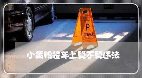 小黄鸭装车上算不算违法 小黄鸭装车上算不算违法