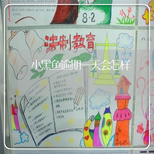 小黑鱼逾期一天会怎样