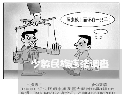 少数民族违法调查