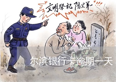 尔滨银行卡逾期一天