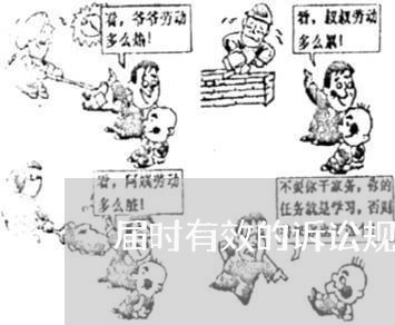 届时有效的诉讼规则是指什么 届时有效的诉讼规则是指什么