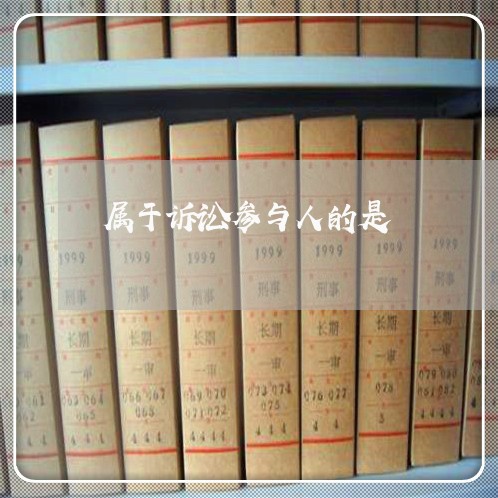属于诉讼参与人的是