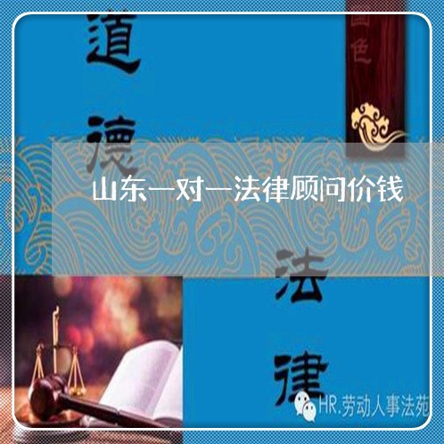 山东一对一法律顾问价钱