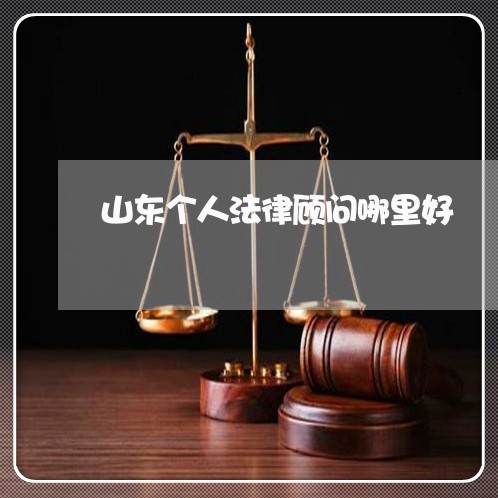山东个人法律顾问哪里好/2023061758363