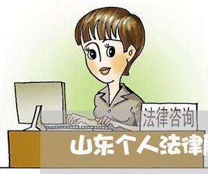 山东个人法律顾问哪里有/2023061716026