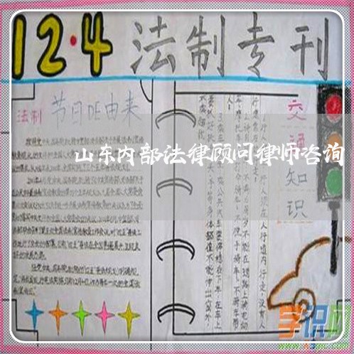 山东内部法律顾问律师咨询/2023061860624 山东内部法律顾问律师咨询/2023061860624