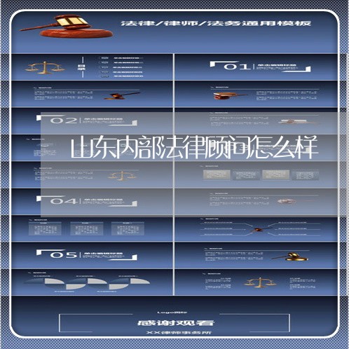 山东内部法律顾问怎么样/2023061916037 山东内部法律顾问怎么样/2023061916037