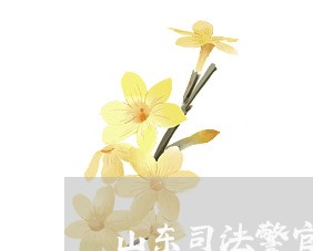 山东司法警官职业学院李奕璇