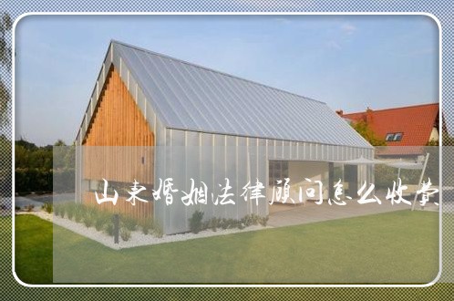 山东婚姻法律顾问怎么收费/2023061899706 山东婚姻法律顾问怎么收费/2023061899706