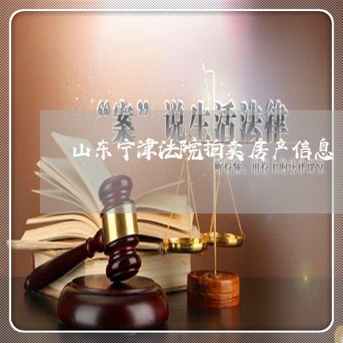 山东宁津法院拍卖房产信息
