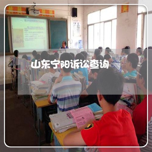 山东宁阳诉讼查询 山东宁阳诉讼查询