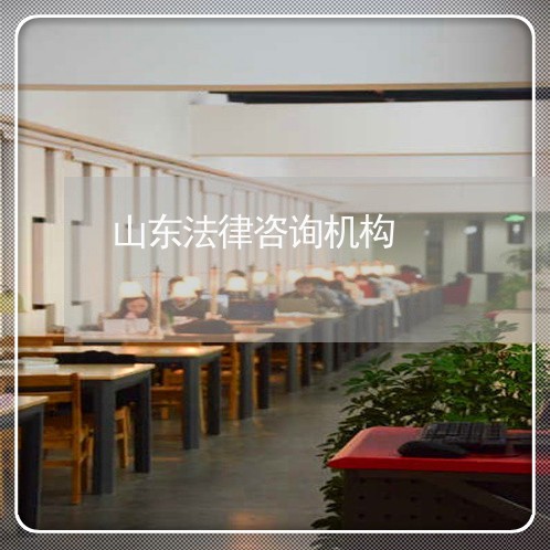 山东法律咨询机构 山东法律咨询机构