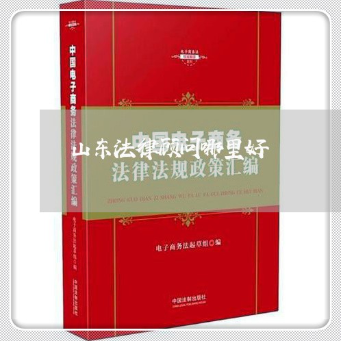 山东法律顾问哪里好/2023061773926