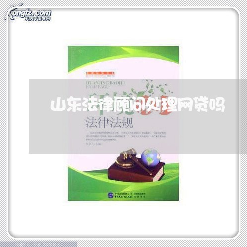 山东法律顾问处理网贷吗/2023061960581