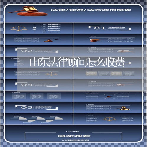 山东法律顾问怎么收费/2023061705947 山东法律顾问怎么收费/2023061705947